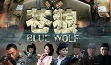 电视剧苍狼演员表,实力派明星齐聚一堂，演绎热血传奇