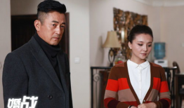 婚战电视剧,爱恨交织的情感较量